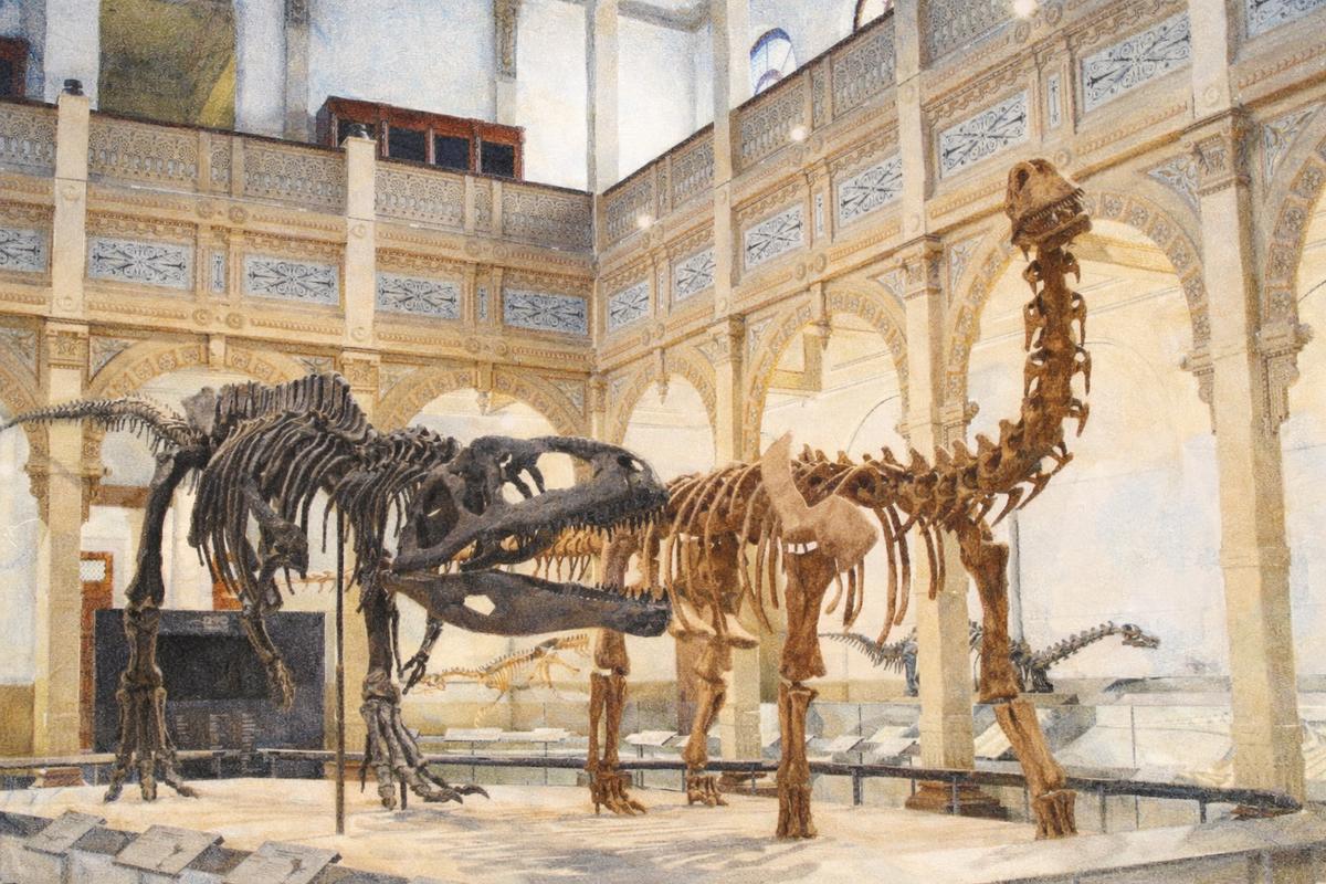 Museo Nacional de Historia Natural